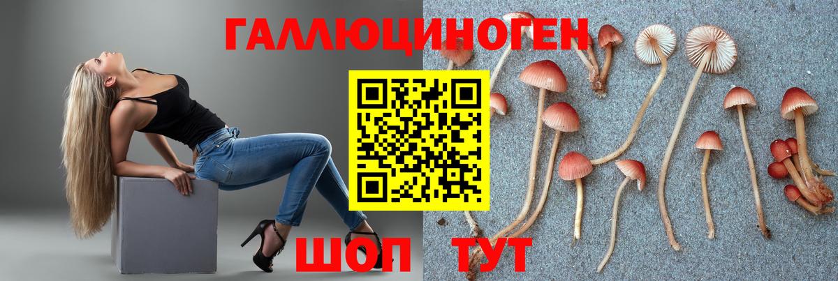 Псилоцибиновые грибы ЛСД  Галлюциногенные грибы ЛСД  Сорочинск  Вход с VPN 