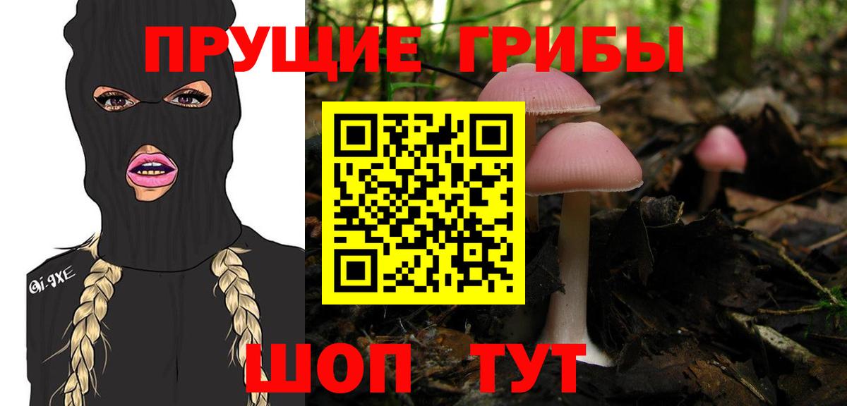 Псилоцибиновые грибы Psilocybe Сорочинск